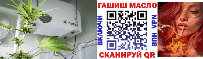 ТГК THC oil  Щёлково 